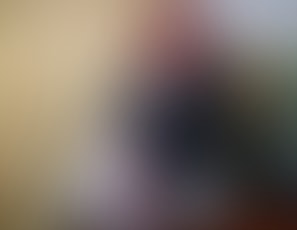 LadyFyreTrainingModLeverag