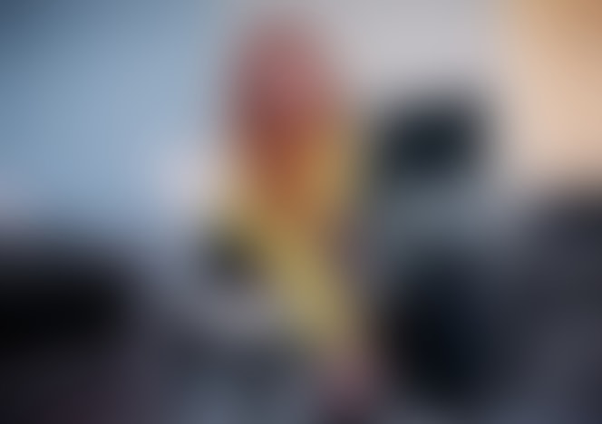 LadyFyreTrainingtheClientPart2