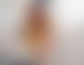 LadyFyresSchoolforBoysandGoodSissies